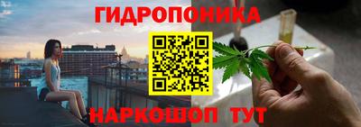 PSILOCYBIN Ирбит