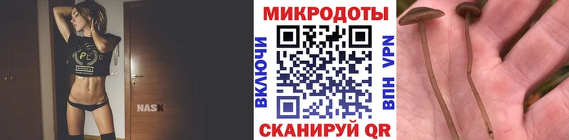 Псилоцибиновые грибы мухоморы  Чистополь 