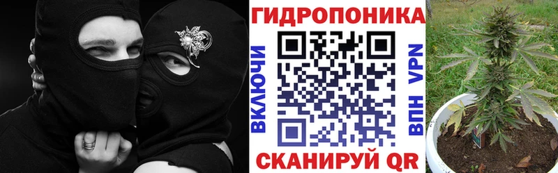 дарнет шоп  Чистополь  Каннабис марихуана 